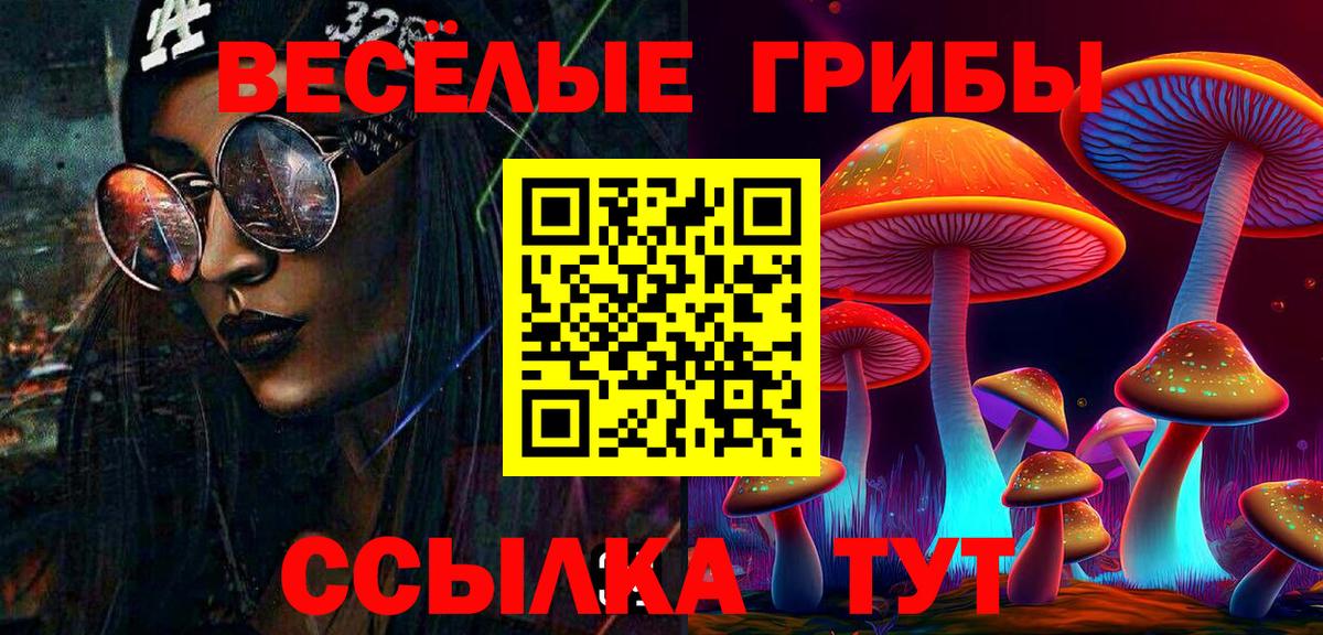 Галлюциногенные грибы Cubensis Острогожск