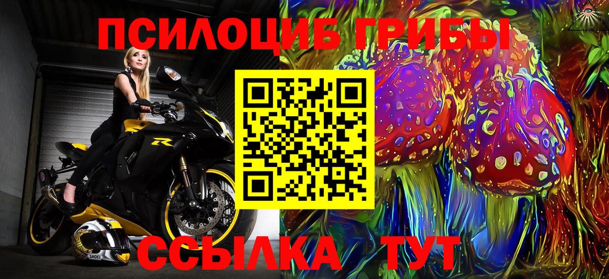 Галлюциногенные грибы Psilocybe  Галлюциногенные грибы Cubensis  Острогожск  Вход с VPN 
